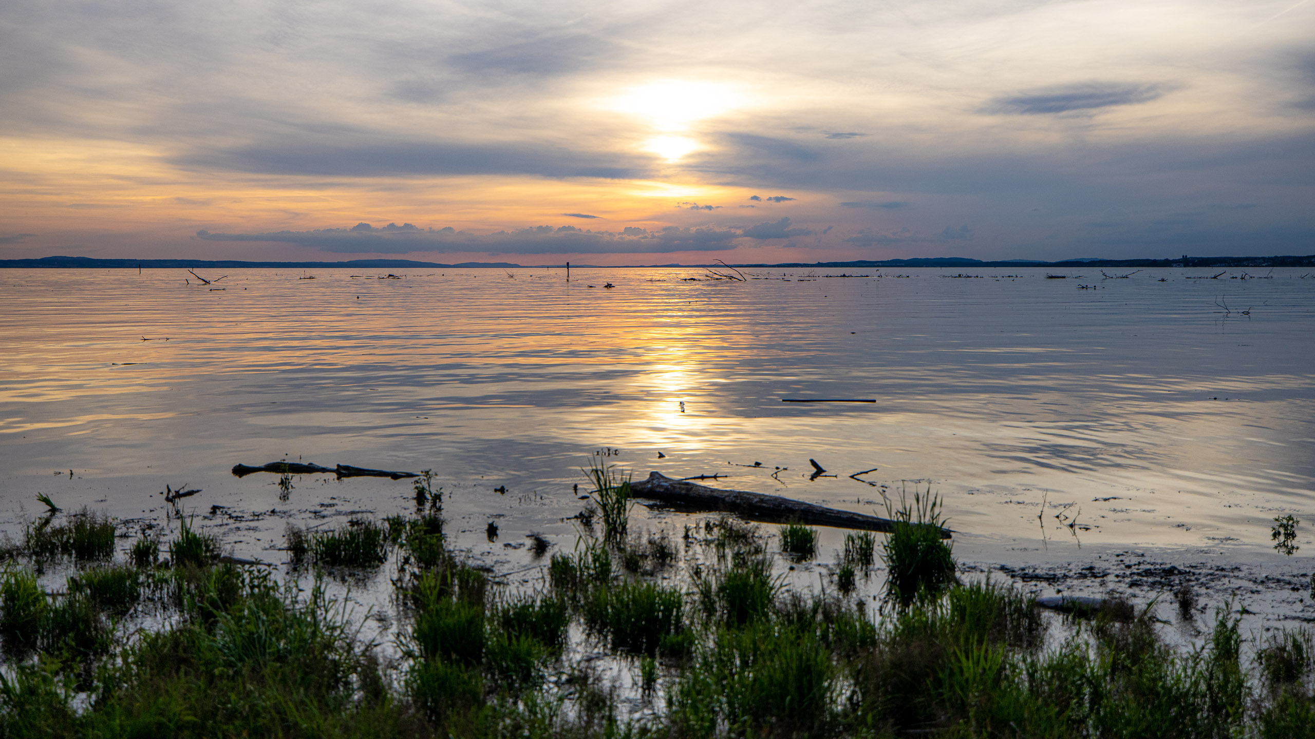 20230506200212 R5D 0798